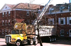 Work Truck in Minneapolis, MN